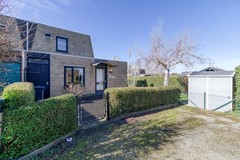Lamsoor 3b Nieuwvliet-1.jpg
